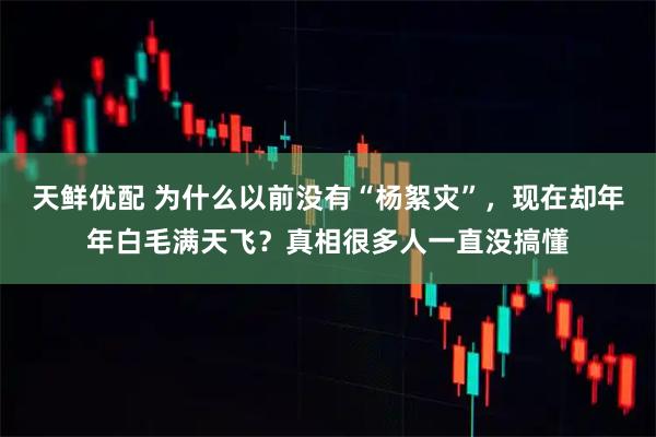 天鲜优配 为什么以前没有“杨絮灾”，现在却年年白毛满天飞？真相很多人一直没搞懂